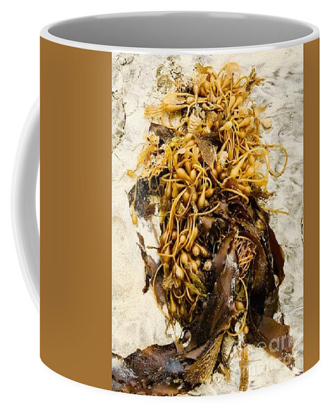 Seaweed Coffee Mug featuring the photograph Seaweed on beach sand by Lana Sylber