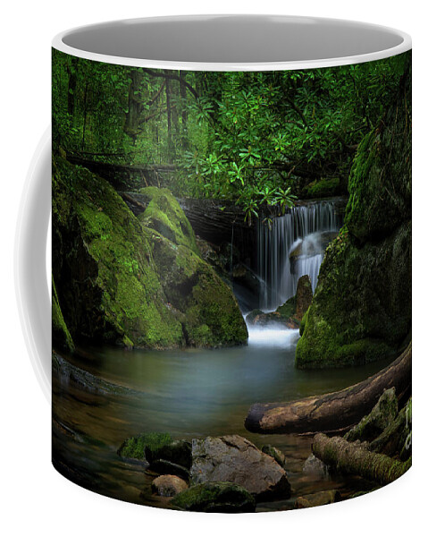 Secluded Coffee Mug featuring the photograph Secluded Waterfall by Shelia Hunt