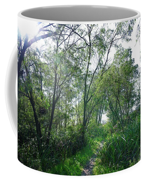 Australia Coffee Mug featuring the photograph Secret Path by Jay Heifetz