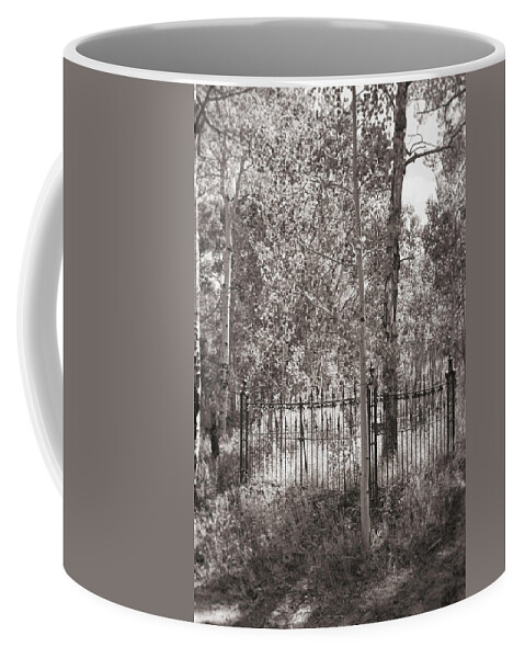 Light Through Trees Coffee Mug featuring the photograph See the Light by Cathy Anderson