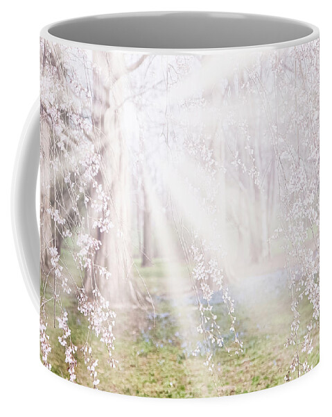 Blossoms Coffee Mug featuring the photograph See the Light by Marilyn Cornwell