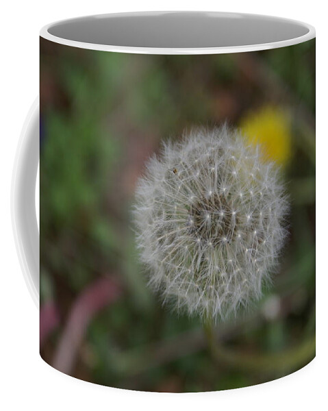  Coffee Mug featuring the photograph Seedhead by Heather E Harman