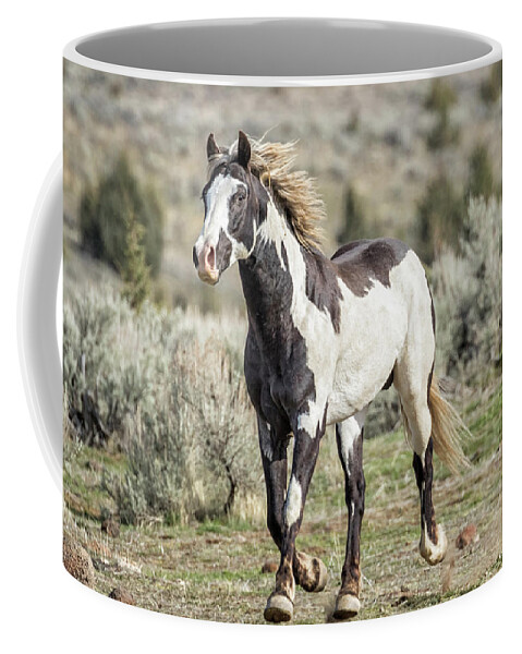 Stallion Coffee Mug featuring the photograph Setting A Brisk Pace, South Steens April 2020 by Belinda Greb