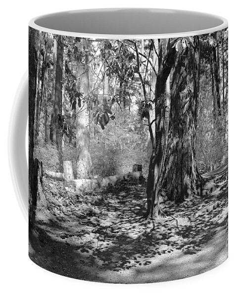 Shadow Coffee Mug featuring the photograph Shadow of Leaves by Kimberly Furey