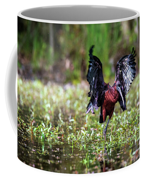 Ibis Coffee Mug featuring the photograph Shake it Off by Rose Guinther