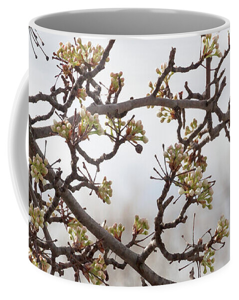 Tree Flowers Coffee Mug featuring the photograph Shape Shifting - by Julie Weber