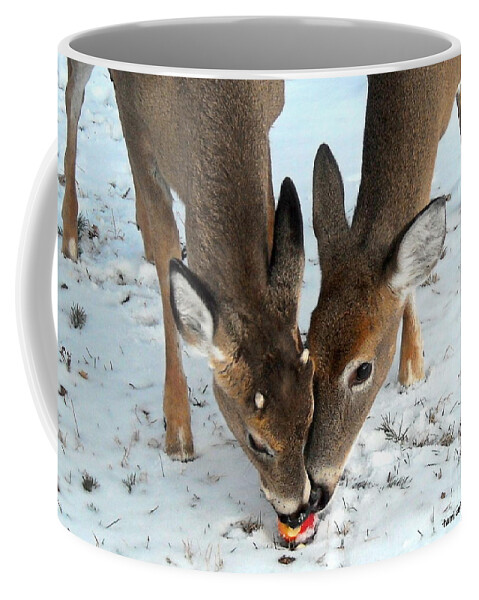 Deer Coffee Mug featuring the photograph Sharing The Love by Tami Quigley