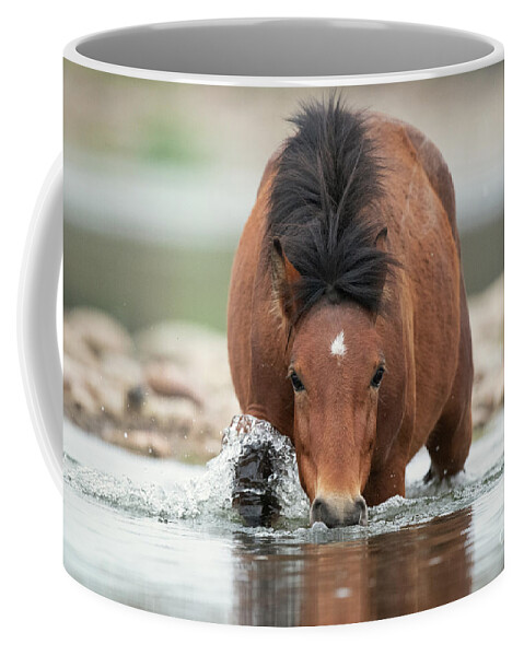 Salt River Wild Horse Coffee Mug featuring the photograph Shark by Shannon Hastings