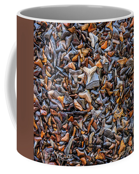 Florida Coffee Mug featuring the photograph Sharks Teeth 7 Signed by Nancy L Marshall