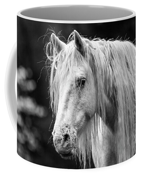 Black And White Coffee Mug featuring the photograph Shawnee Mare and Dogwoods by Holly Ross