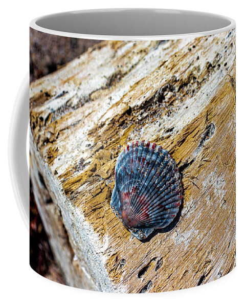 Shell Coffee Mug featuring the photograph Shell Drifting by Blair Damson