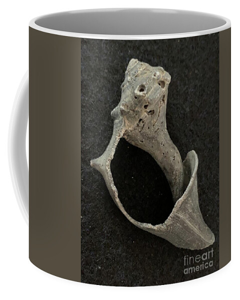 Edisto Beach Coffee Mug featuring the photograph Shell Float by Catherine Wilson