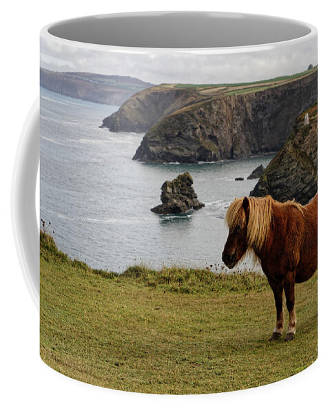 Pony Coffee Mug featuring the photograph Shetland Ponies of Cornwall by Shirley Mitchell
