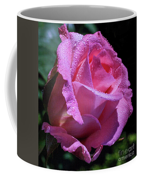 Pink Coffee Mug featuring the photograph Shimmering by Doug Norkum