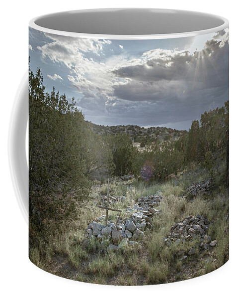 Landscapes Coffee Mug featuring the photograph Shine On by Mary Lee Dereske