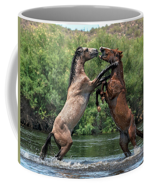 Stallion Coffee Mug featuring the photograph Showtime. by Paul Martin