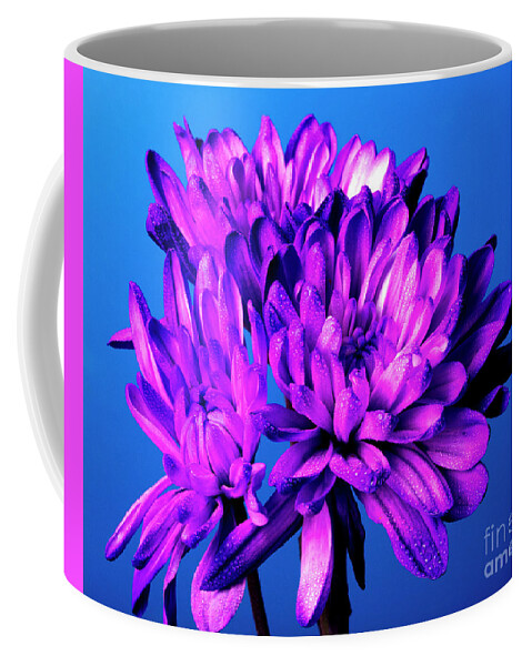 Flower Coffee Mug featuring the photograph Showy by Doug Norkum