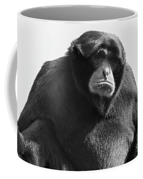 Siamang Coffee Mug featuring the photograph Siamang Portrait in Black and White by Bentley Davis
