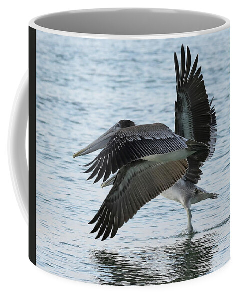 Pelicans Coffee Mug featuring the photograph Side by Side by Mingming Jiang