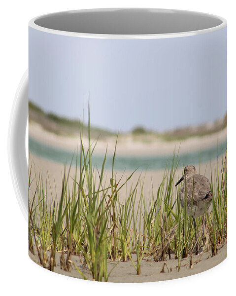 Willet Coffee Mug featuring the photograph Side Eye by Heather E Harman