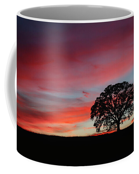 Silhouette Coffee Mug featuring the photograph Silhouette Sunset by Gary Geddes
