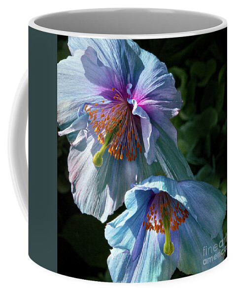 Conservatories Coffee Mug featuring the photograph Silk Poppies by Marilyn Cornwell