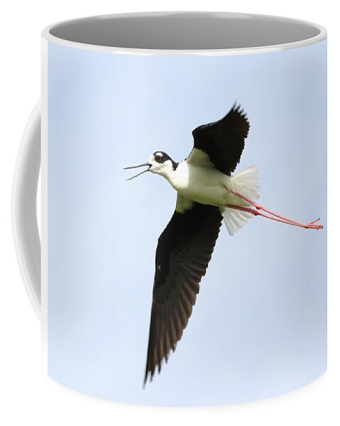 Black-necked Stilt Coffee Mug featuring the photograph Black-Necked Stilt in Flight by Mingming Jiang