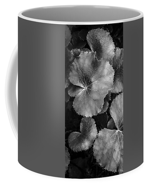 Georgia Coffee Mug featuring the photograph Silver Edged Leaves in the Forest I by Debra and Dave Vanderlaan