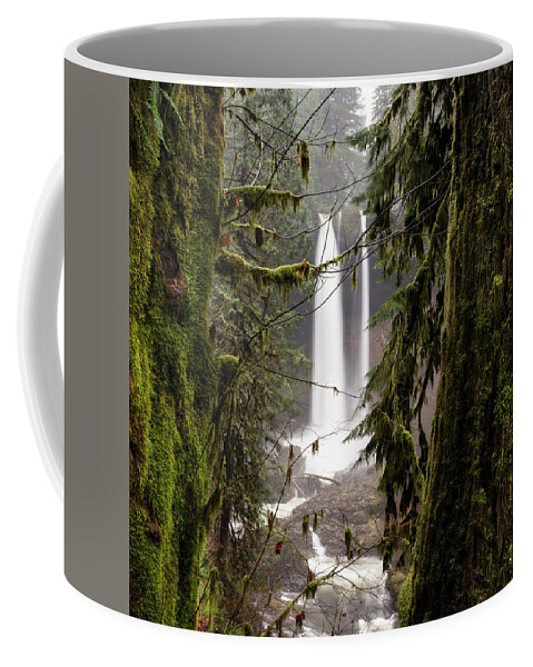 Oregon Coffee Mug featuring the photograph Silver Falls Oregon Water Fall by William Dunigan