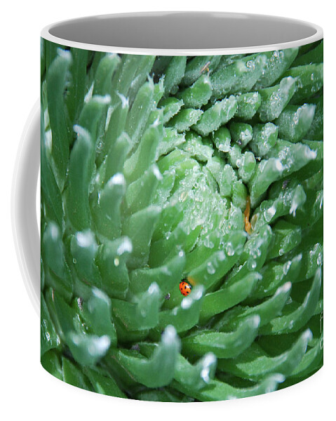 Argyroxiphium Sandwicense Coffee Mug featuring the photograph Silversword with Ladybug on an Icy Morning by Nancy Gleason