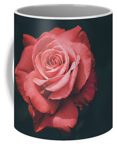 Flower Coffee Mug featuring the photograph Simple Beauty of a Rose by Kevin Schwalbe