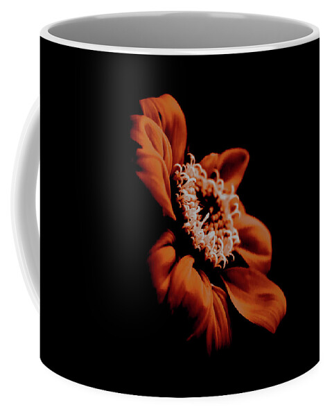 Mexican Sunflower Coffee Mug featuring the photograph Simplicity by Stamp City