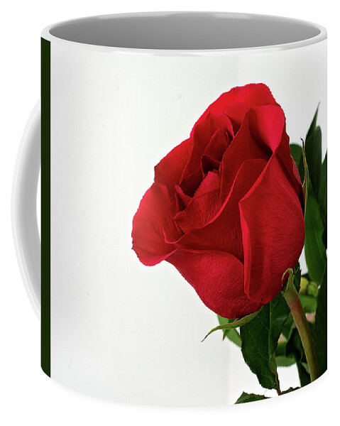 Single Red Rose Wall Art Coffee Mug featuring the photograph Single Red Rose by Gwen Gibson