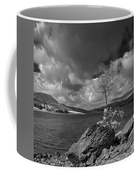 Landscape Coffee Mug featuring the photograph Lonely tree on the rock by Remigiusz MARCZAK