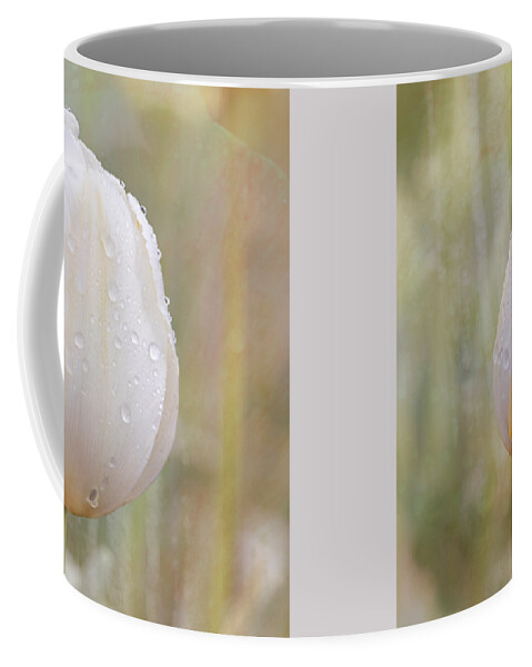 Easter Coffee Mug featuring the photograph Single White Tulip on a Textured Background by Catherine Avilez
