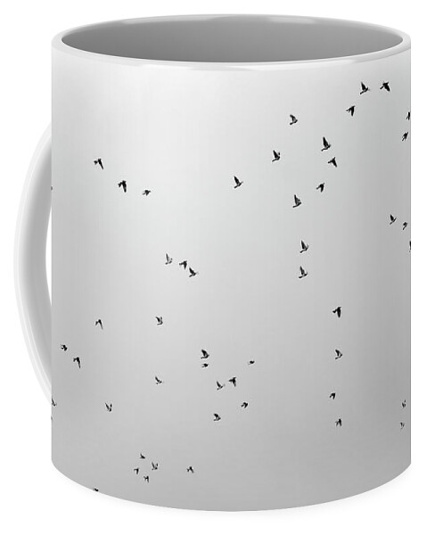  Mono Coffee Mug featuring the photograph Sky and birds Study VI by Guido Montanes Castillo