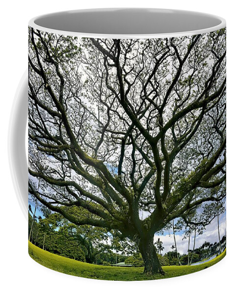 Beautiful Tree Coffee Mug featuring the photograph Sky Full of Lace by Heidi Fickinger