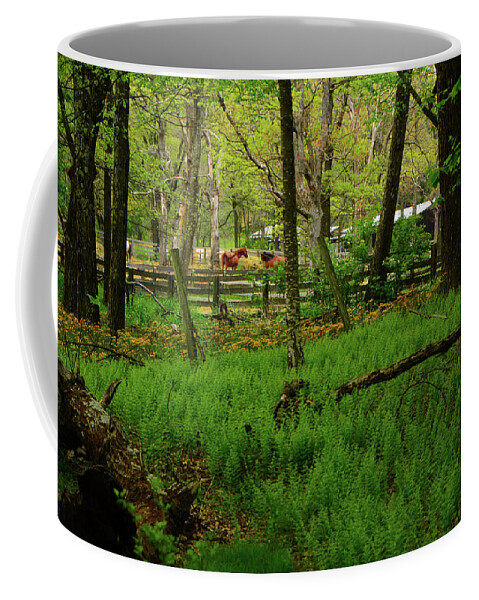 Skyland Horse Stables From The At Coffee Mug featuring the photograph Skyland Horse Stables from The AT by Raymond Salani III