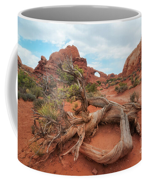 Arches Coffee Mug featuring the photograph Skyline Arch by Sharon Seaward