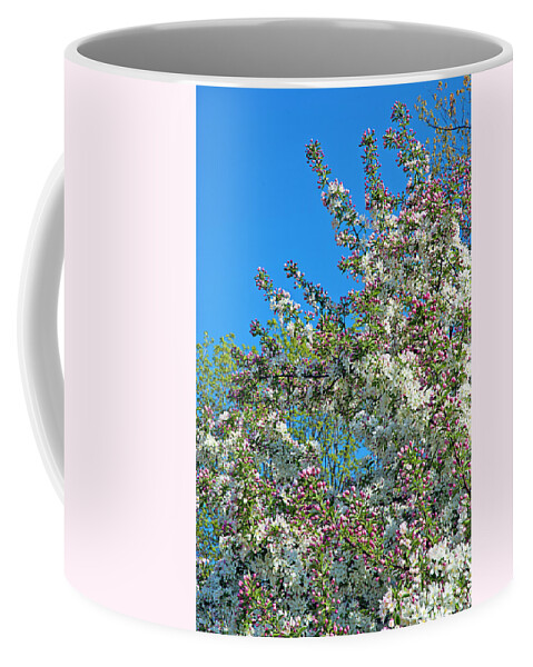 Dexter Coffee Mug featuring the photograph Skyward Glimpse of Spring 1 by Jill Love