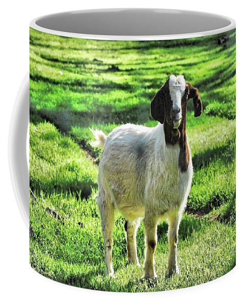 Goat Coffee Mug featuring the painting Slowmo by Linda Carter Holman
