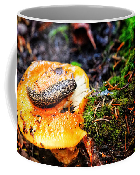 Photo Coffee Mug featuring the photograph Slug on Mushroom by Evan Foster