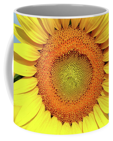 Sunflower Coffee Mug featuring the photograph Smile by Lens Art Photography By Larry Trager