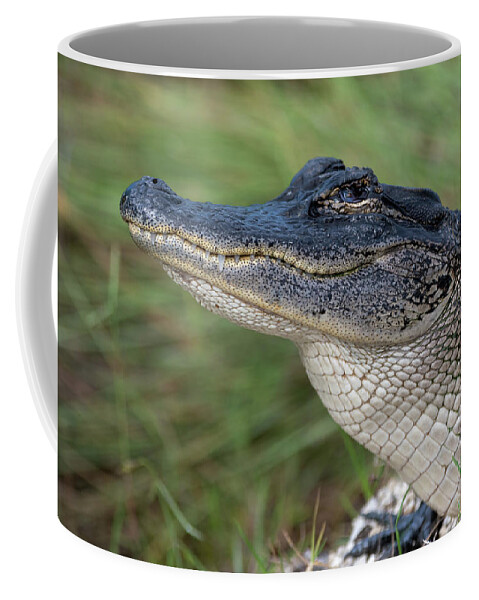 Alligator Coffee Mug featuring the photograph Smiling Alligator by Bradford Martin