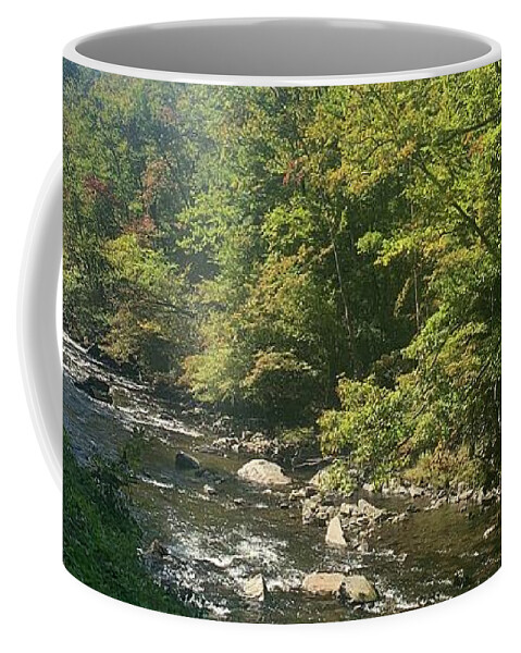 Photography Coffee Mug featuring the photograph Smokey Mountain Nature by Lisa White