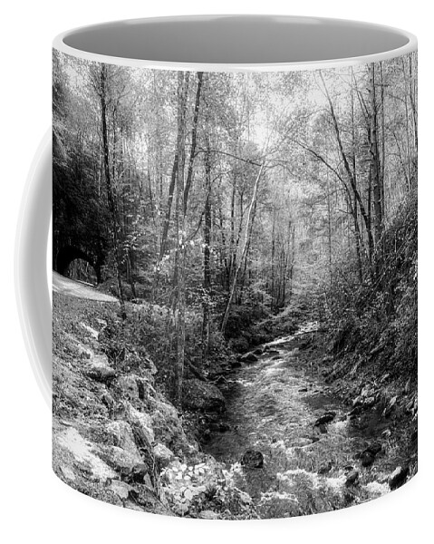 Cades Coffee Mug featuring the photograph Smoky Mountains Country Streams in Black and White by Debra and Dave Vanderlaan