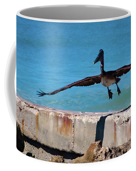 Pelican Coffee Mug featuring the photograph Smooth Landing by Vicky Edgerly
