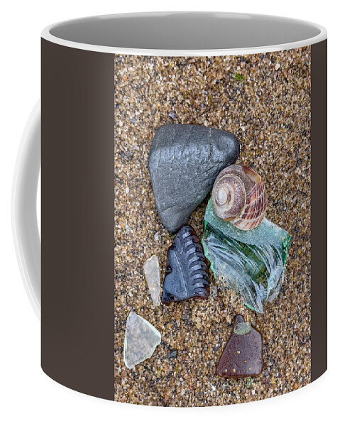 Broken Glass Coffee Mug featuring the photograph Snail Shell Still Life by Cate Franklyn