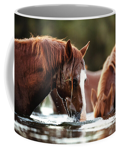 Salt River Wild Horses Coffee Mug featuring the photograph Snorkel Time by Shannon Hastings