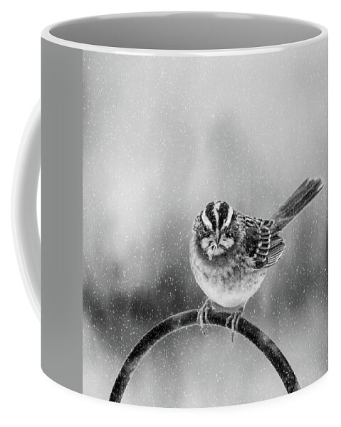 Bird Coffee Mug featuring the photograph Snow Again by Cathy Kovarik